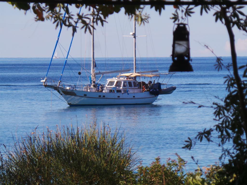Figarola Rovinj
